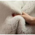 thumbnail image 1 of Faux Fur Rug Plush Rug Washable Area Rugs for Bedroom Fluffy Rabbit Fur Rug for Living Room Teen Room Home Decor Rectangle Rug(Light Grey, 2x3), HB6805, 1 of 4