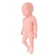 thumbnail image 4 of Modelo de bebé recién nacido, modelo de recién nacido de plástico, simulador de bebé educativo, muñeca de bebé de cuidado real, valor inmejorable, 4 of 14