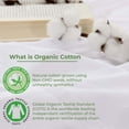 thumbnail image 3 of BNM Organic Cotton Pillowcases, Set of 2, Standard, White, 3 of 5