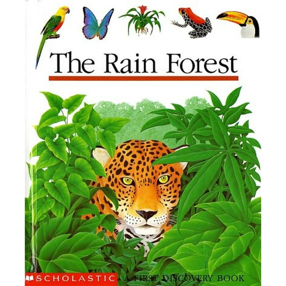 Pre-Owned The Rain Forest, 9780590477284, 0590477285, Paperback, First Edition edition