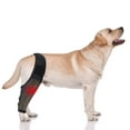 thumbnail image 5 of ZENMELE Dog Knee Brace For For Support With Cruciate Ligament Injury Better Adjustable Recovery With Dog Brace Joint And Muscle, 5 of 6