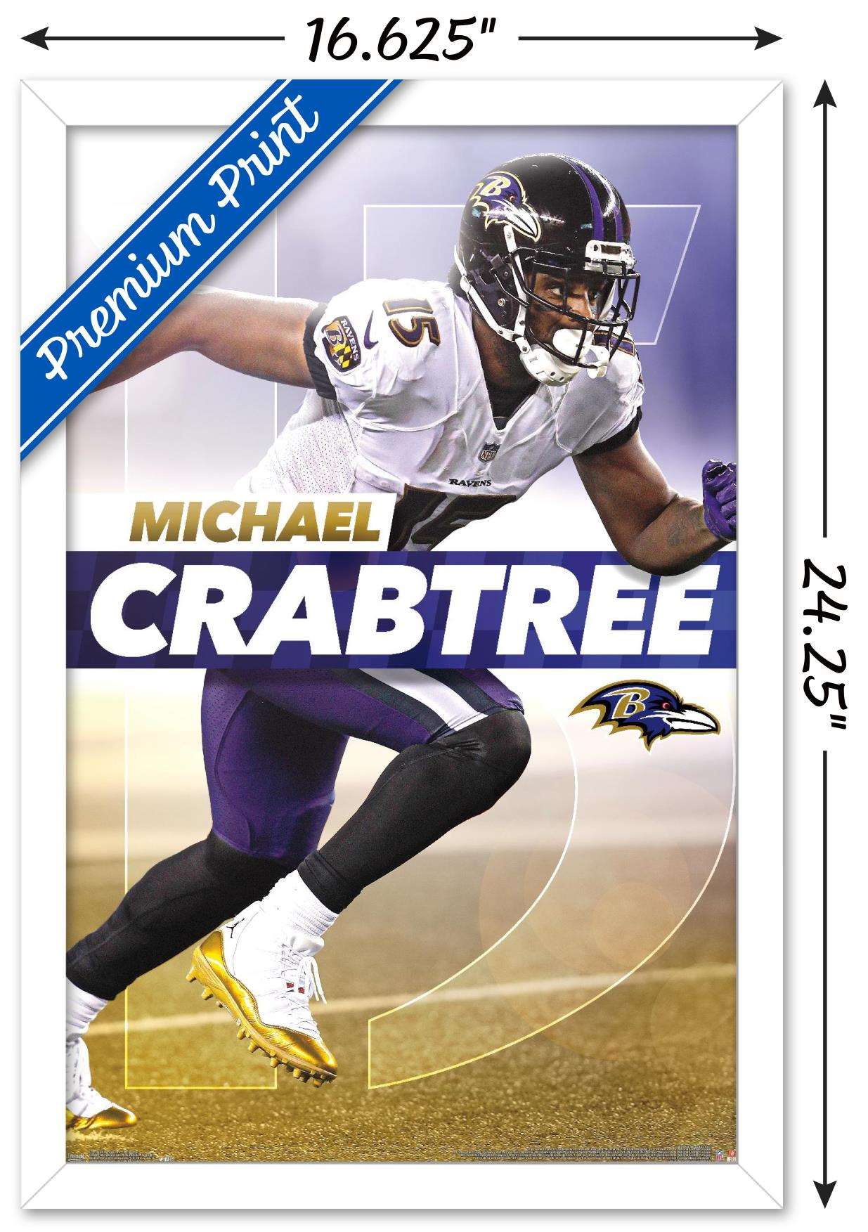 Buy Michael Crabtree Cards Online