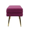 thumbnail image 4 of TOV Furniture Ziva Banc de Rangement en Velours Transitionnel 16.5"H en Prune Violette, 4 of 6