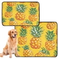 thumbnail image 2 of RMDQTR 3Pack Set of Small Pet Potty Pads Reusable Ultra-Absorbent Pet Training Pads Leak-Proof Pet Pads Abstract Painting Of Pineapple, 2 of 7