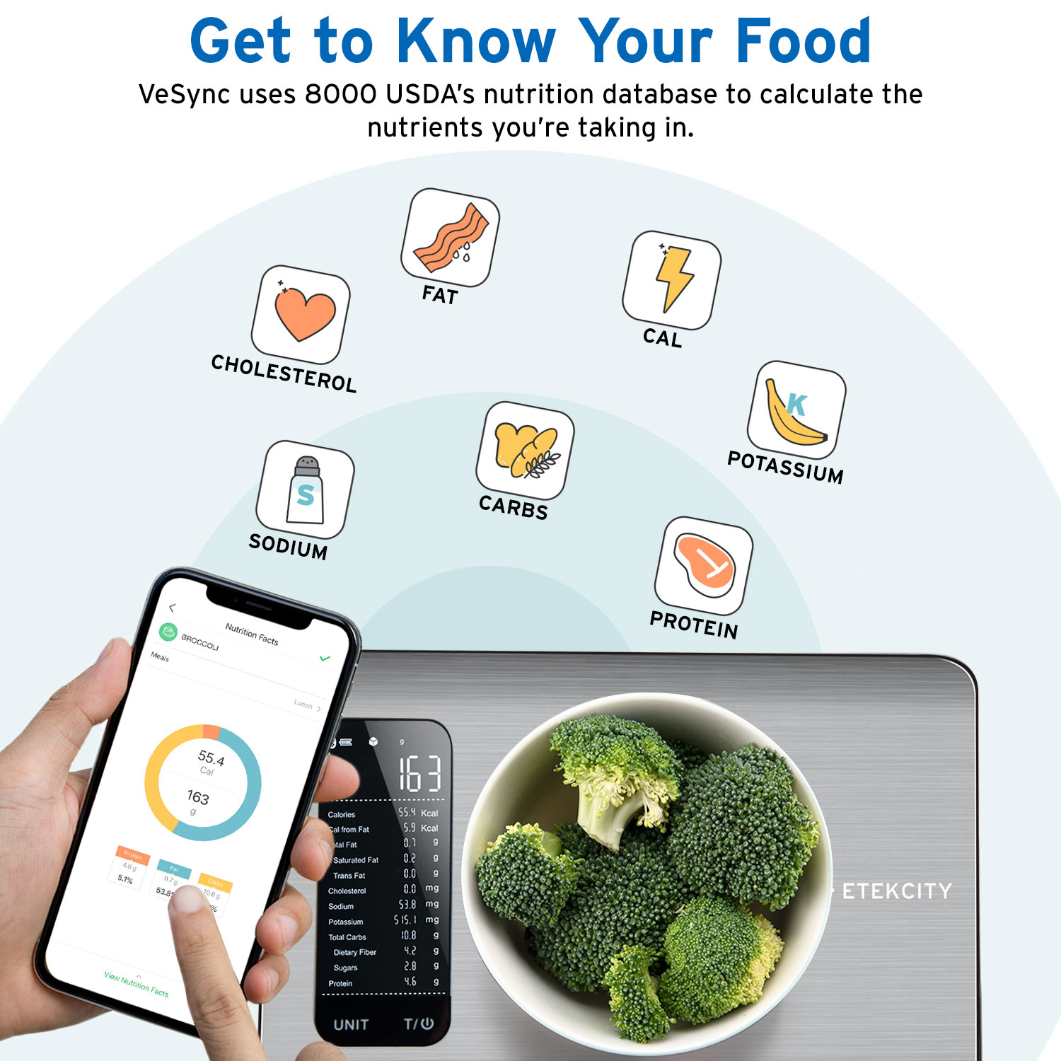 Etekcity ESN00 Digital Kitchen Scale, Smart Food Scale with Nutritional