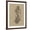 Brown Frame, variant on Art.com Botanical Sketch Black and White VI Art Print by Ethan Harper, 12" x 16"