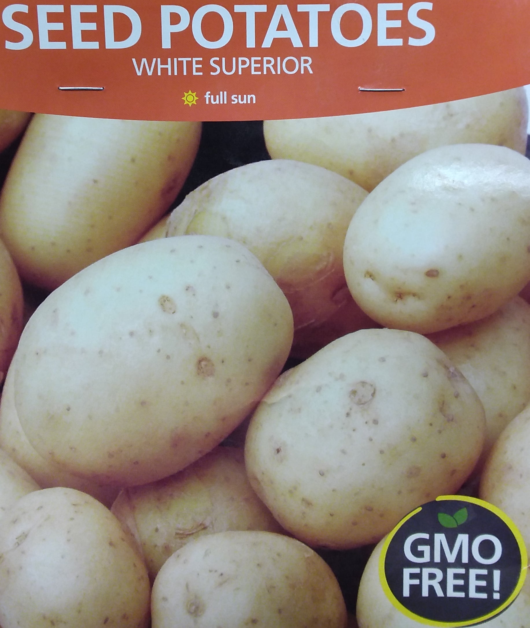 Van Zyverden Edible Seed Potato White Superior Vegetable