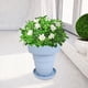 thumbnail image 2 of Escala de ajuste de volumen de flores plegable TPR para decoraciones de balcones Azul, 2 of 7