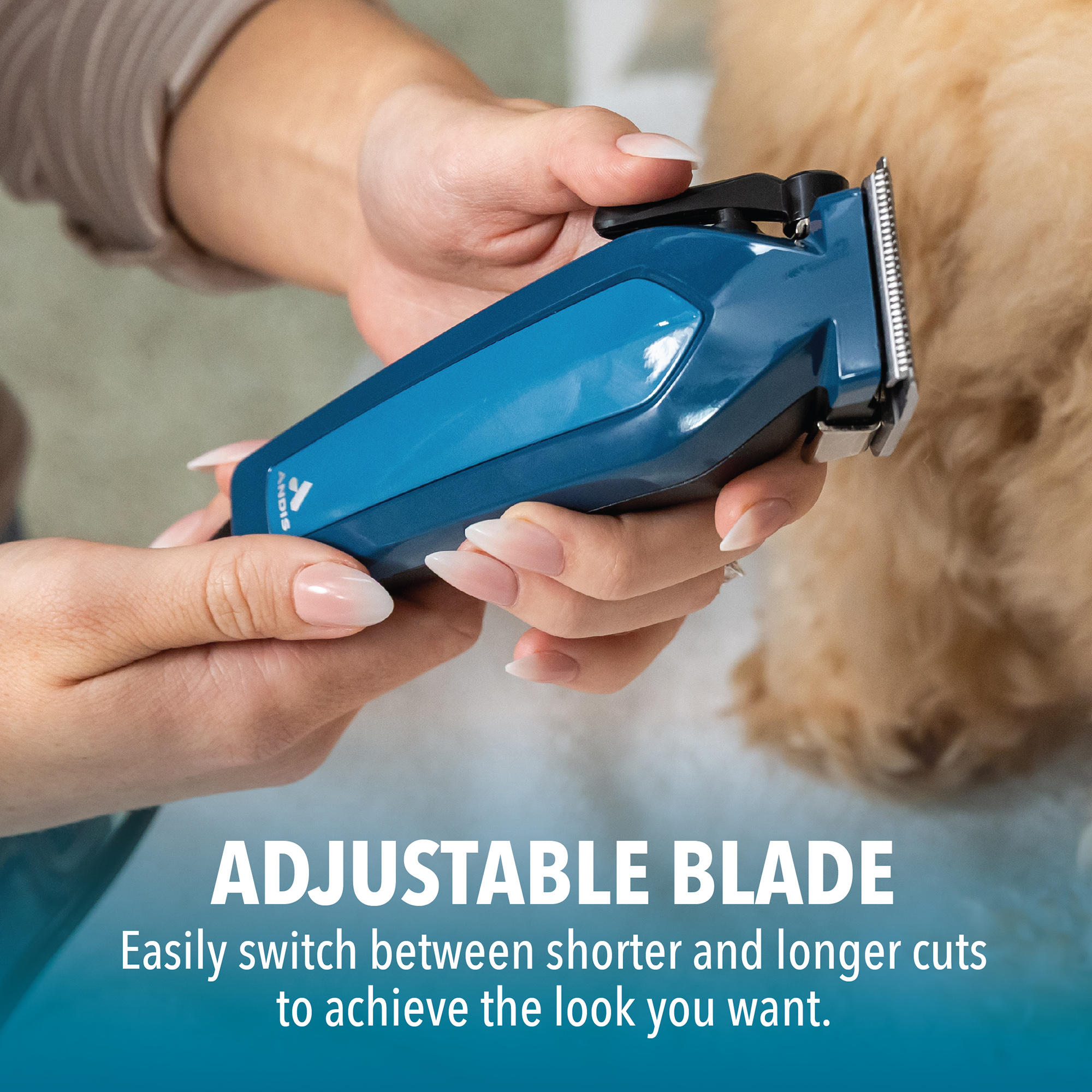 Andis Easy Clip Starter Kit, Teal photo 3
