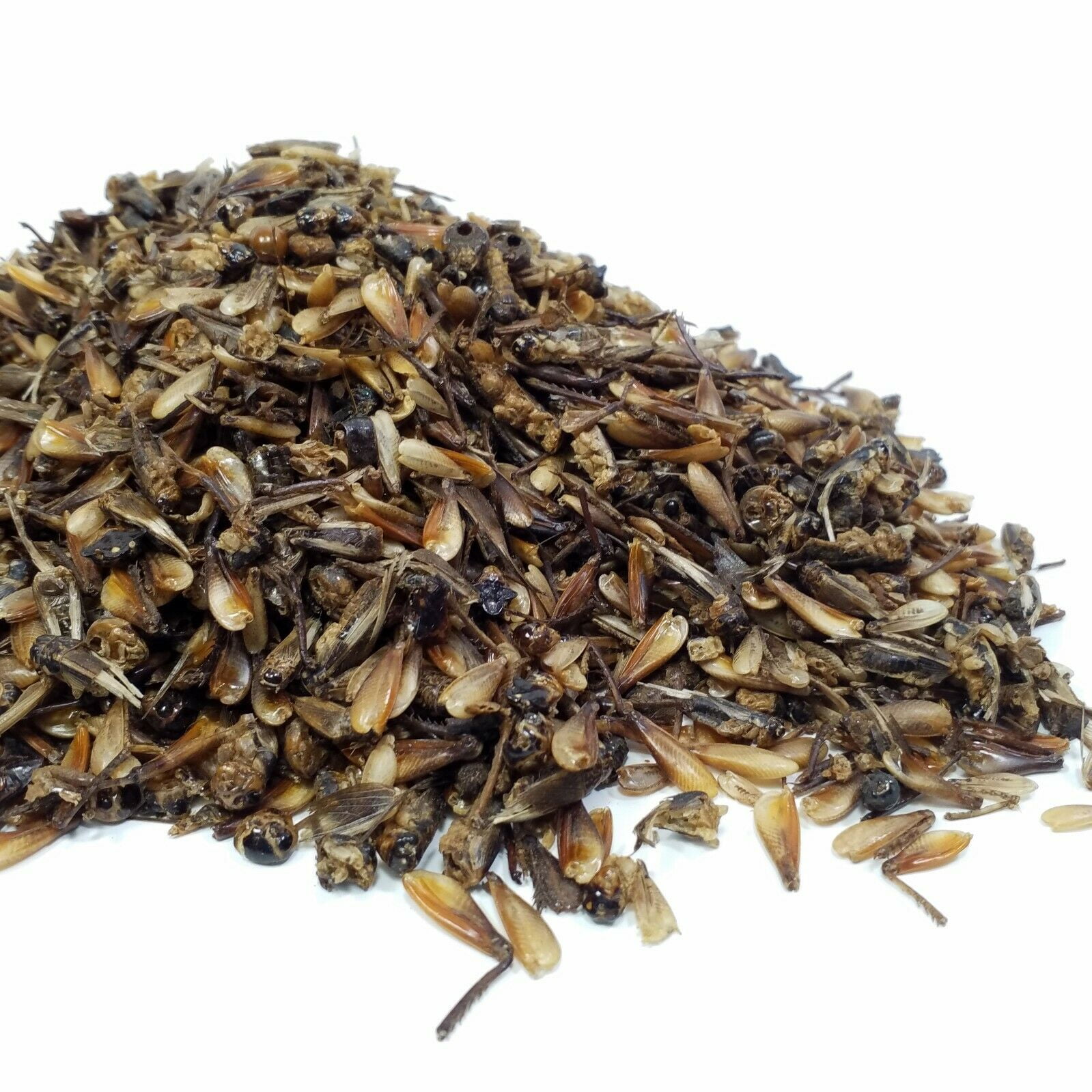 Crickets Freeze Dried Crickets, Freeze Dried Gourmet Mix Included