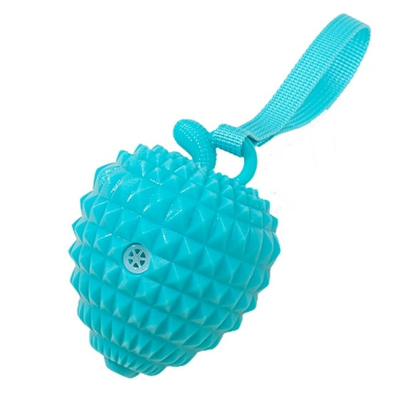 Dog Squeaky Toy Fruit: Rubber Puppy Chewing Toy Pet Interactive Toy Dogs Fetch Toy
