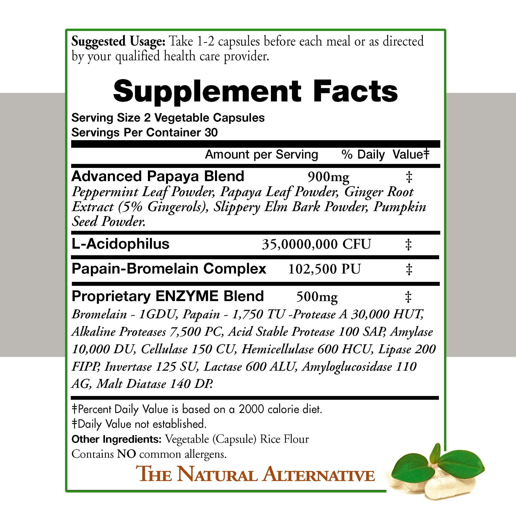 Digestive Aid Enzymes by Doctors Nutra Nutraceuticals - Natural GI Digestive Stomach Intestinal Support Supplement Advanced Tract 950