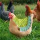 thumbnail image 3 of Delantal de taburete de pollo de 4 piezas con correas elásticas. esquí esquí Gafas de esquí, 3 of 5