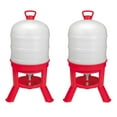 thumbnail image 1 of Little Giant 10 Gallon Tank Heavy Duty Poultry Chicken Gravity Waterer (2 Pack), 1 of 5