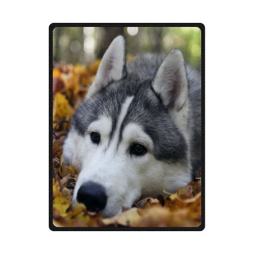 Husky 2024 fleece blanket