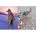 thumbnail image 3 of Reflective Rope Slip Training Lead, Mountain Climbing Rope Pets Leash For Dogs And Cats Blue L, 3 of 5
