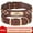 Brown, variant on Pet Artist Cool Studded Personalized Custom Dog Collars ID Name Leather Adjustable for Small Large Dogs