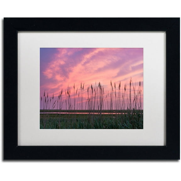 Trademark Fine Art "Marsh Reeds" Canvas Art by Michael Blanchette Photography White Matte, Black Frame