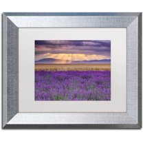 Trademark Fine Art "Lavender Sunbeams" Canvas Art by Michael Blanchette Photography White Matte, Silver Frame