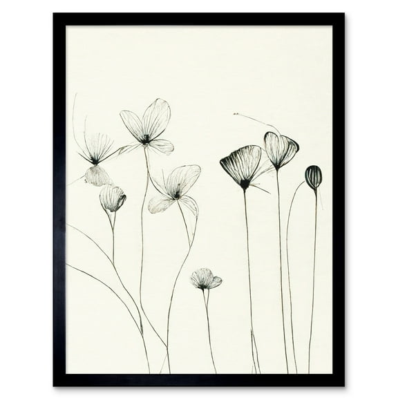 Stylish Flower Illustration Line Drawing With Black Ink Art Print Framed Poster Wall Decor 12x16 inch