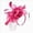Hot Pink, variant on HCNTES Women's Fascinators Tea Party Wedding Mesh Flower Pearl Feather Fascinator Hat with Headband and Clip Dark Blue