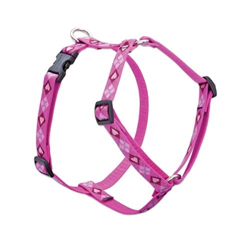 LupinePet Originals 3/4" Puppy Love 12-20" Adjustable Roman Dog Harness for Small Dogs