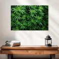 thumbnail image 2 of Elephant Stock Marijuana Cultivation Wall Art - Horizontal Canvas Wall Art - Living Room Wall Decor - Floral And Botanical Canvas - Black And Green Decor - 24" x 16", 2 of 4
