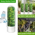 thumbnail image 4 of Contenedor para Hierbas Refrigerador Contenedor para Cilantro Conservador de Verduras Frescas para Alacena de Refrigerador, 4 of 7