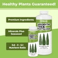 thumbnail image 2 of Arborvitae Tree Fertilizer for All Arborvitaes, Evergreen Shrubs and Thuja Trees, Liquid Plant Food, 32 oz (1 Quart), 2 of 5