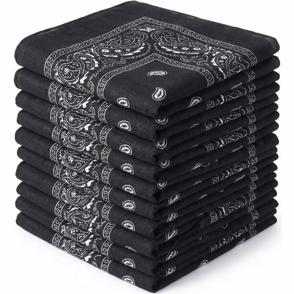 BlinkLLX 12 Pcs Paisley Bandanas Buffs Seamless Neck Gaiter Face Mask Headwear Balaclava for Men Women Wind UV