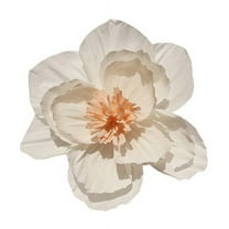 Nvzi 6Pcs 10in Crepe Paper Flowers Decoration for Wall, Flowers for Wedding Decor,Flower Backdrop Decor,Baby Shower,Birthday Party,Photo Backdrop,Archway Decor, Nursery Wall Decor，White