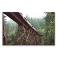 thumbnail image 1 of Cuadro Canva Pixtreats listo para Colgar Tren En El Bosque 50X75 cm, 1 of 4