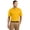 Gold, variant on Sport-Tek Men's 100 Percent Polyester Dri-Mesh Polo. K469
