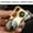 Gold, variant on EGYMEN Multifunctional Key Chain Bottle Opener with Colored Light, Real Watch, Five-in-One Windproof Torch Lighter, Refillable Butane Gas Gadget for Outdoor Adventures and Gifts