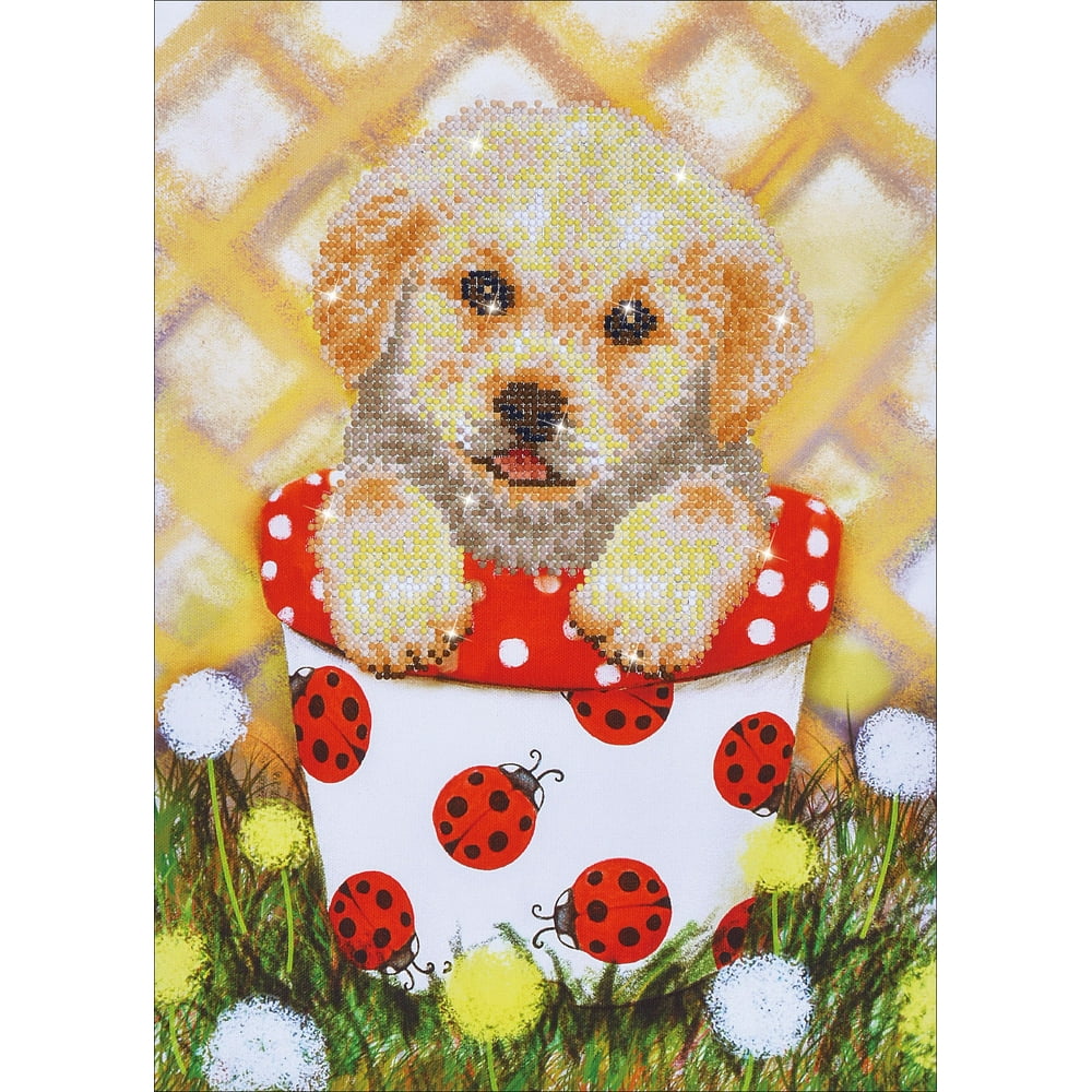Diamond Dotz Diamond Embroidery Facet Art Kit 15"X19.5"Pup In Pot