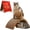 M:14inch, variant on Cat Scratching Ball on Stand, 2-in-1 Wood Cat Scratcher with Interactive Arch Bridge and Spinning Scratching Orb Indoor Cats Scratch Pad for Furniture Protector Stress Relief (L:22inch)