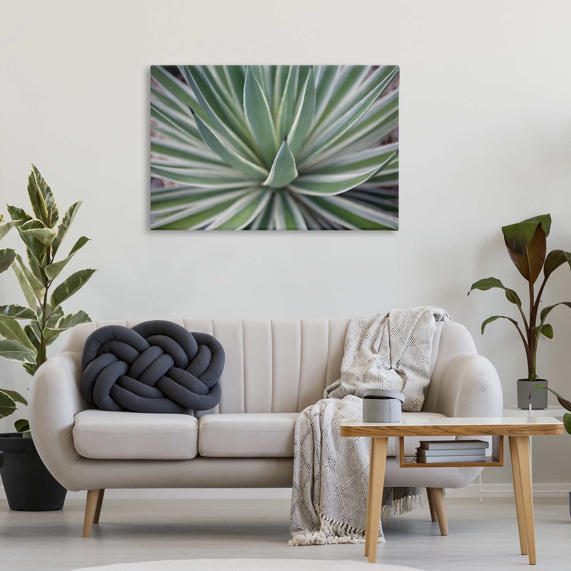 Stupell Industries Striped Plant Leaves Botanical & Floral Photography Gallery Wrapped Canvas Art Print Wall Art, 36 x 24