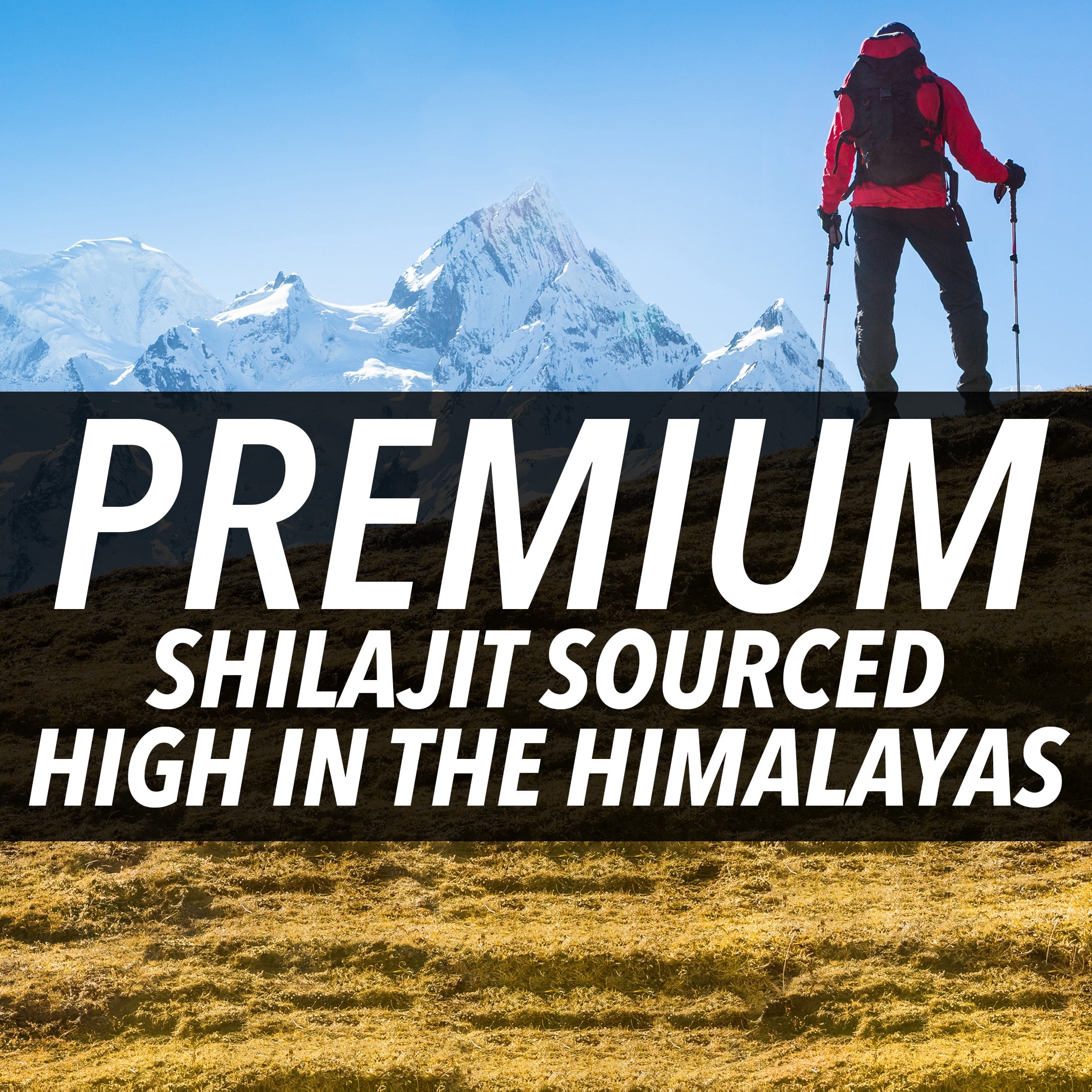 Nugenix® Shilajit 500mg, Himalayan Shilajit Extract for Men's Health, 50% Fulvic Acids, 30 Capsules