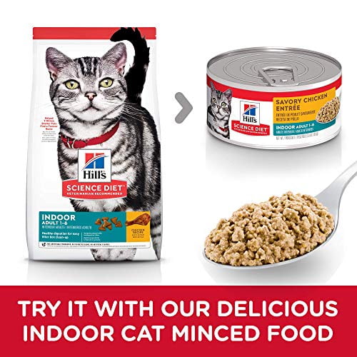 Diet cat cheap food walmart