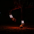 thumbnail image 3 of High Visibility LED Leg Bands For Nighttime Horse Riding And Equine Activity Visibility Enhancement, 3 of 3