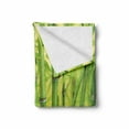 thumbnail image 2 of Bamboo Print Soft Flannel Fleece Blanket, Close up of Bamboo Sprouts Stems Nature in Tropical Rain Forest Wildlife Feng Shui, Cozy Plush for Indoor and Outdoor Use, 70" x 90", Green, by Ambesonne, 2 of 6