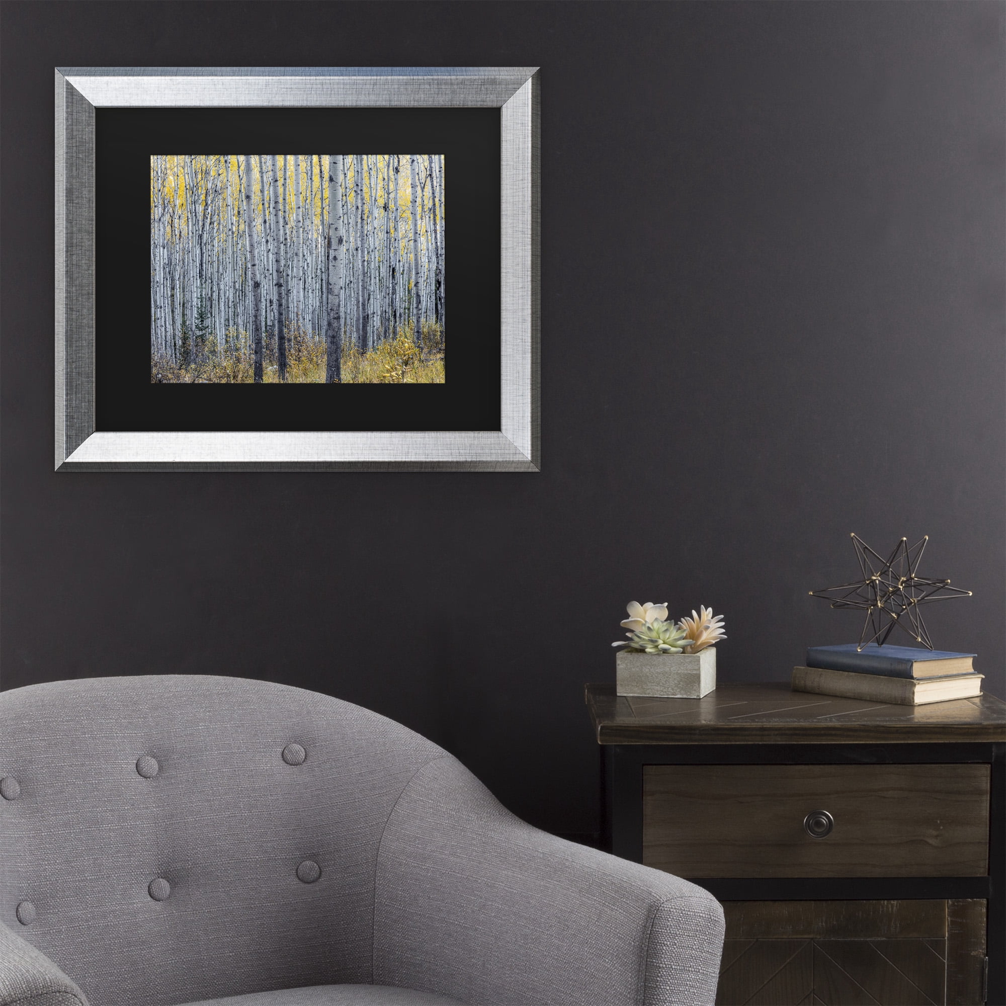 Trademark Fine Art 'Forest of Aspen Trees' Canvas Art by Pierre Leclerc