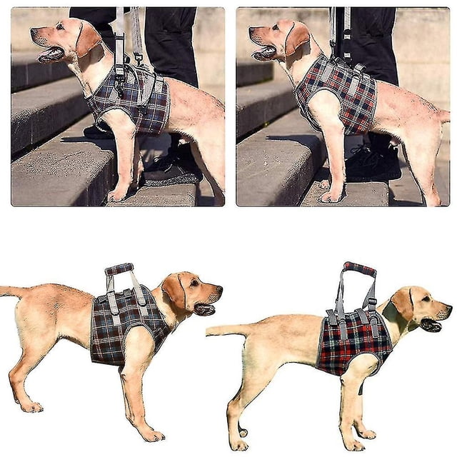 Arnés para perros Patas delanteras Ayuda para transportar perros Ayuda para caminar Arnés de soporte Pe