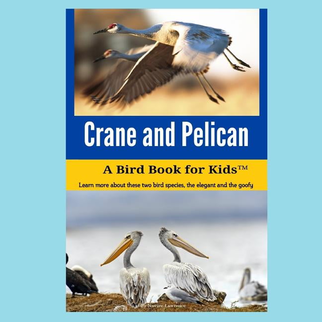 kids crocs pelican