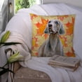thumbnail image 3 of Carolines Treasures BB9935PW1414 Weimaraner Fall Fabric Decorative Pillow  14Hx14W multicolor, 3 of 4