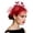 Red, variant on CAIXIA Fascinators Hat Women Tea Party Headband Flower Cocktail Mesh Feathers Hair Clip Kentucky Derby Hat Wedding