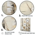 thumbnail image 3 of Designart "Neutral Birch Simplicity I" Tree Birch Floater Framed Canvas Prints, 3 of 5