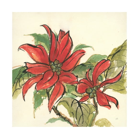 Trademark Fine Art 'Poinsettia II' Canvas Art by Chris Paschke