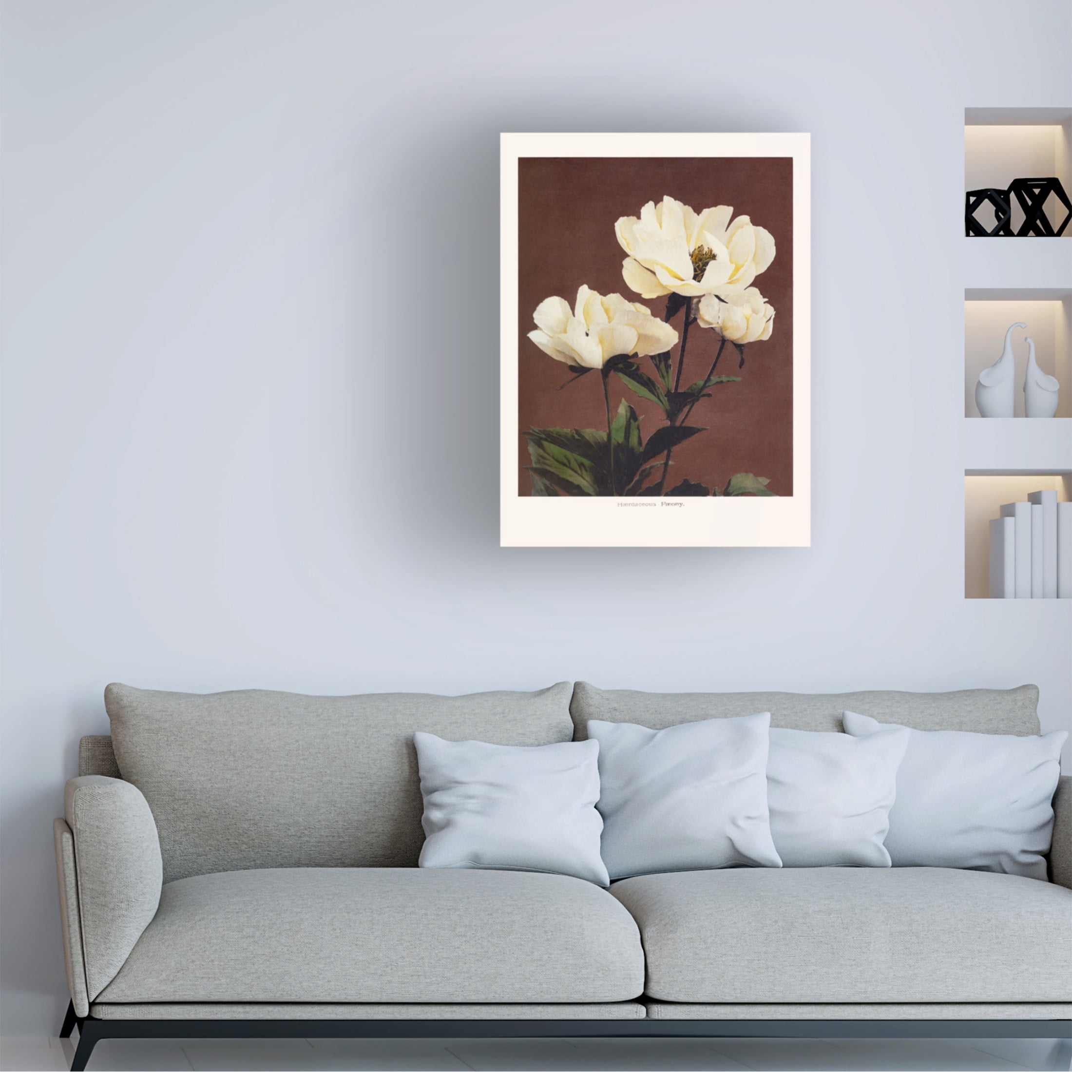 Trademark Fine Art Pictufy HAbrdaceous Peony Canvas Wall Art
