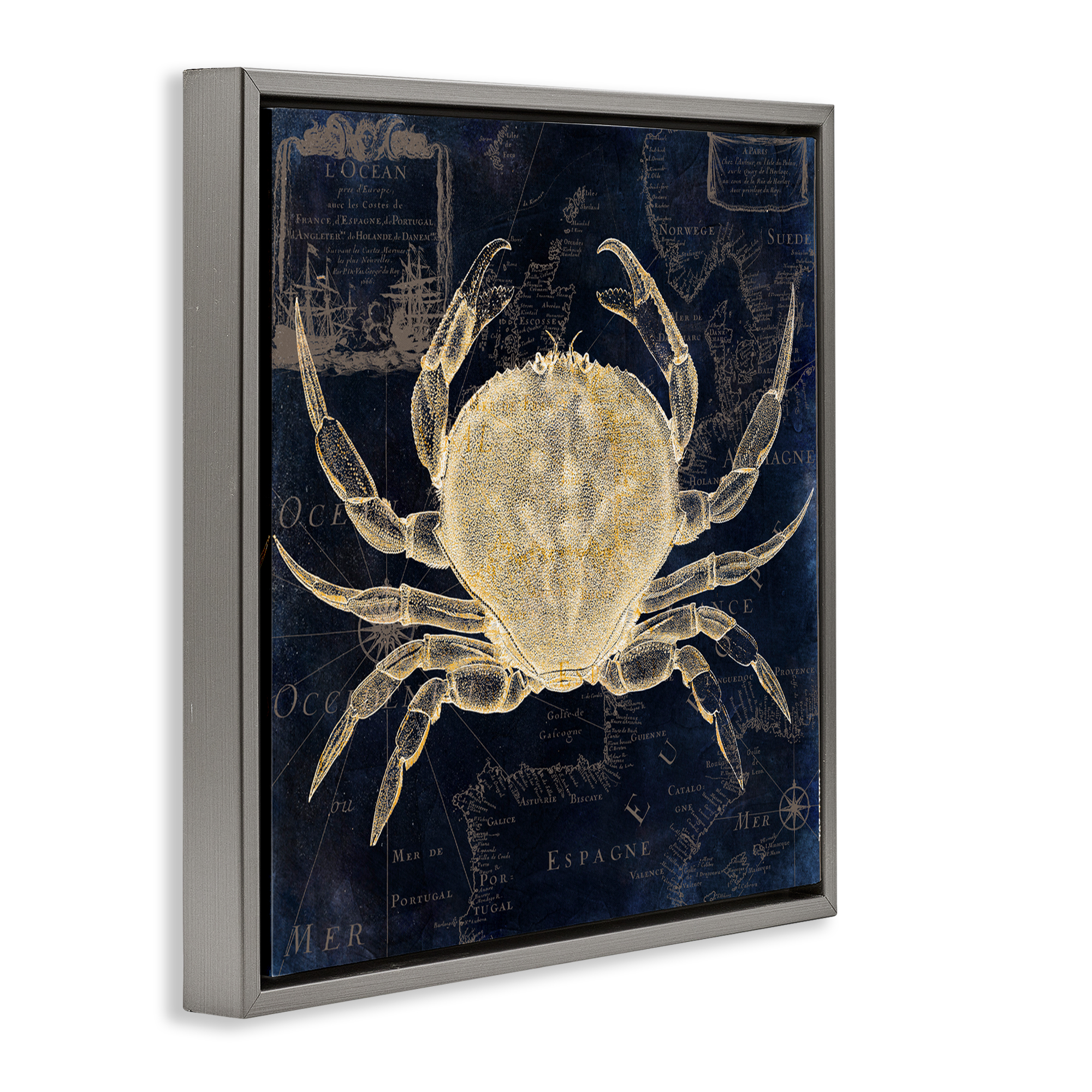 Crab Contour over Map Gray Framed Floater Canvas Wall Art, design by Sasha